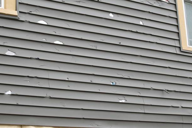 Siding for Commercial Buildings in Lena, IL